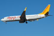 Pegasus Airlines Boeing 737-86J (TC-CCP) at  Budapest - Ferihegy International, Hungary