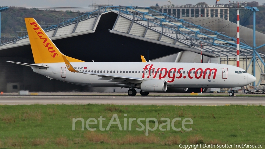 Pegasus Airlines Boeing 737-86J (TC-CCP) | Photo 216685