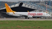 Pegasus Airlines Boeing 737-86J (TC-CCP) at  Dusseldorf - International, Germany