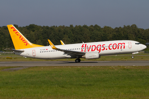 Pegasus Airlines Boeing 737-86J (TC-CCP) at  Hamburg - Fuhlsbuettel (Helmut Schmidt), Germany