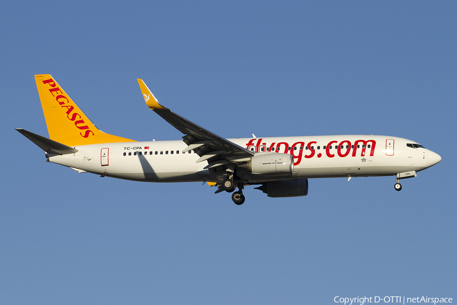 Pegasus Airlines Boeing 737-82R (TC-CPA) | Photo 392926