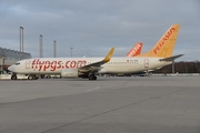 Pegasus Airlines Boeing 737-82R (TC-CPA) at  Cologne/Bonn, Germany