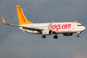 Pegasus Airlines Boeing 737-82R (TC-CPA) at  Cologne/Bonn, Germany