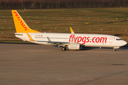 Pegasus Airlines Boeing 737-82R (TC-CPA) at  Cologne/Bonn, Germany