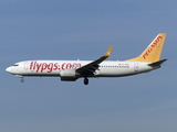 Pegasus Airlines Boeing 737-82R (TC-CPA) at  Frankfurt am Main, Germany