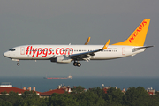 Pegasus Airlines Boeing 737-82R (TC-CPA) at  Istanbul - Ataturk, Turkey