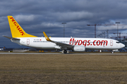 Pegasus Airlines Boeing 737-82R (TC-CPA) at  Munich, Germany