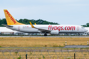 Pegasus Airlines Boeing 737-82R (TC-CPC) at  Berlin Brandenburg, Germany