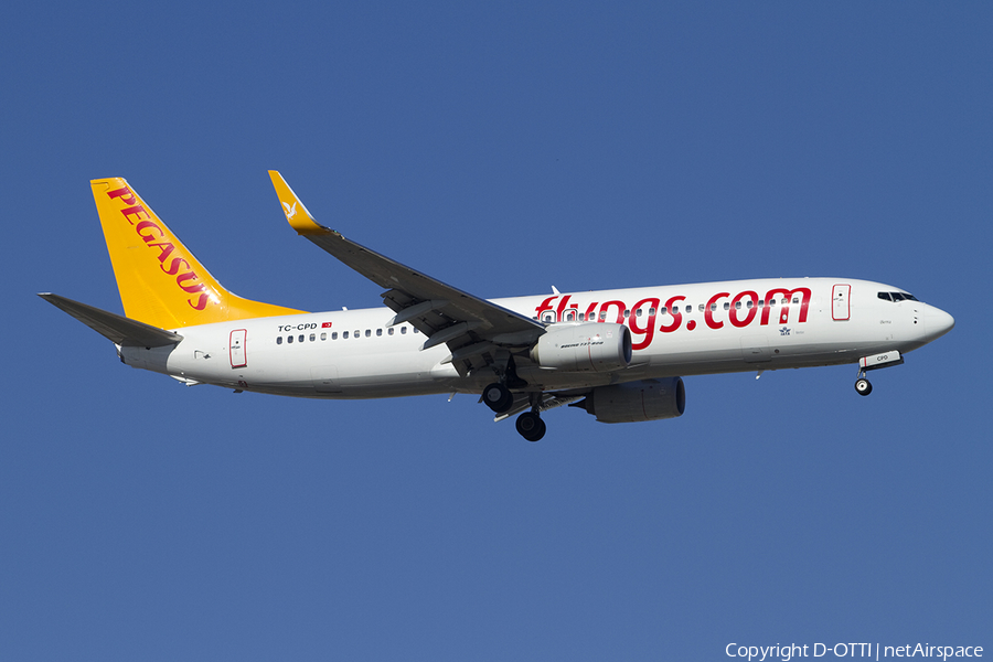 Pegasus Airlines Boeing 737-82R (TC-CPD) | Photo 390799