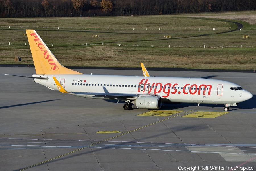 Pegasus Airlines Boeing 737-82R (TC-CPD) | Photo 310335