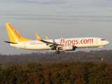 Pegasus Airlines Boeing 737-82R (TC-CPD) at  Cologne/Bonn, Germany