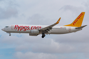 Pegasus Airlines Boeing 737-82R (TC-CPD) at  Hamburg - Fuhlsbuettel (Helmut Schmidt), Germany