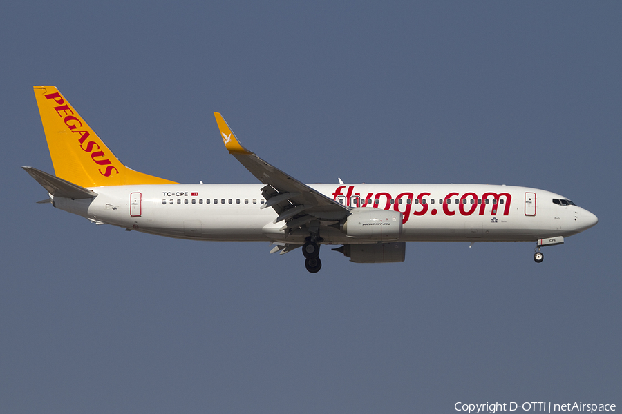 Pegasus Airlines Boeing 737-82R (TC-CPE) | Photo 391356