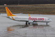 Pegasus Airlines Boeing 737-82R (TC-CPE) at  Cologne/Bonn, Germany