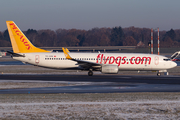 Pegasus Airlines Boeing 737-82R (TC-CPE) at  Hamburg - Fuhlsbuettel (Helmut Schmidt), Germany