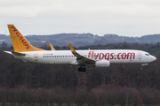 Pegasus Airlines Boeing 737-82R (TC-CPJ) at  Cologne/Bonn, Germany