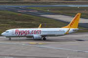 Pegasus Airlines Boeing 737-82R (TC-CPJ) at  Cologne/Bonn, Germany