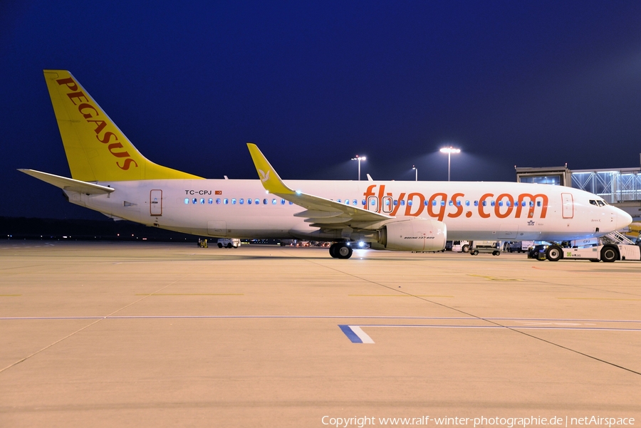 Pegasus Airlines Boeing 737-82R (TC-CPJ) | Photo 484451