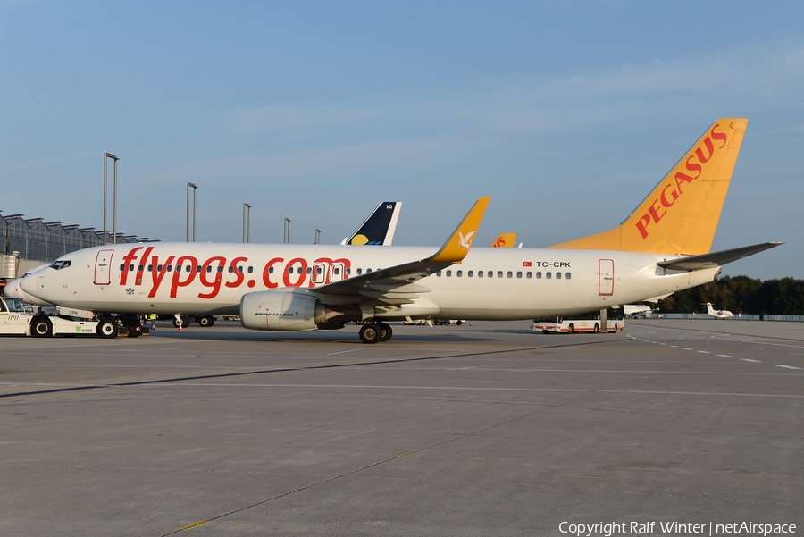 Pegasus Airlines Boeing 737-82R (TC-CPK) | Photo 317220