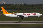 Pegasus Airlines Boeing 737-82R (TC-CPK) at  Dusseldorf - International, Germany