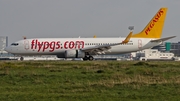 Pegasus Airlines Boeing 737-82R (TC-CPK) at  Dusseldorf - International, Germany