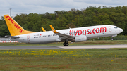Pegasus Airlines Boeing 737-82R (TC-CPK) at  Frankfurt am Main, Germany