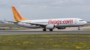 Pegasus Airlines Boeing 737-82R (TC-CPK) at  Frankfurt am Main, Germany