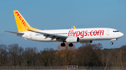 Pegasus Airlines Boeing 737-82R (TC-CPK) at  Hannover - Langenhagen, Germany