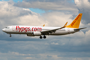 Pegasus Airlines Boeing 737-82R (TC-CPK) at  Hamburg - Fuhlsbuettel (Helmut Schmidt), Germany