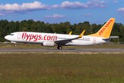 Pegasus Airlines Boeing 737-82R (TC-CPK) at  Hamburg - Fuhlsbuettel (Helmut Schmidt), Germany