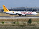 Pegasus Airlines Boeing 737-82R (TC-CPK) at  Berlin - Schoenefeld, Germany