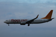 Pegasus Airlines Boeing 737-82R (TC-CPL) at  Hamburg - Fuhlsbuettel (Helmut Schmidt), Germany