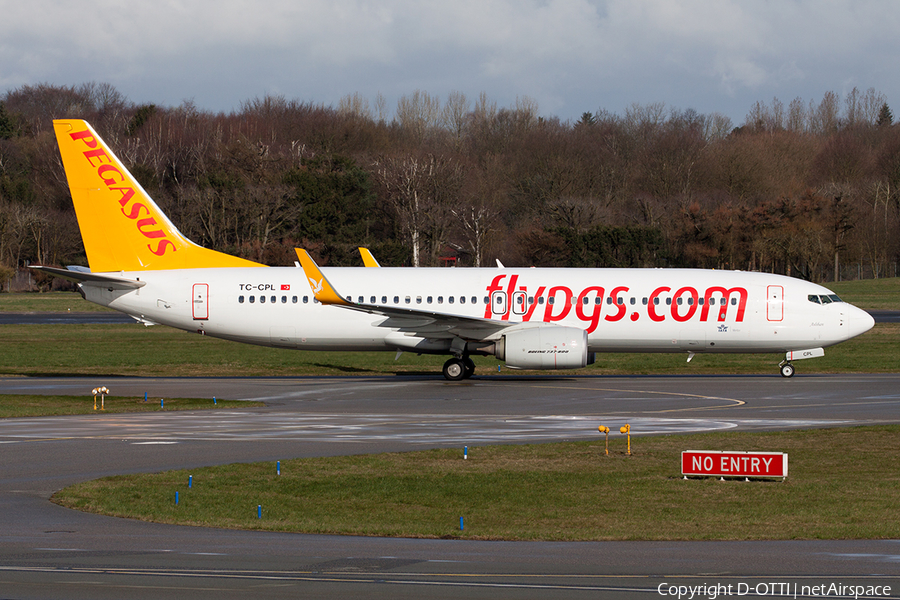 Pegasus Airlines Boeing 737-82R (TC-CPL) | Photo 484806