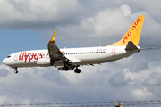 Pegasus Airlines Boeing 737-82R (TC-CPM) at  Dusseldorf - International, Germany