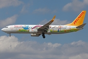 Pegasus Airlines Boeing 737-82R (TC-CPM) at  Frankfurt am Main, Germany