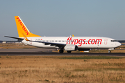 Pegasus Airlines Boeing 737-82R (TC-CPM) at  Frankfurt am Main, Germany