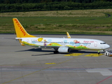 Pegasus Airlines Boeing 737-82R (TC-CPN) at  Cologne/Bonn, Germany