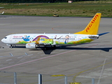 Pegasus Airlines Boeing 737-82R (TC-CPN) at  Cologne/Bonn, Germany