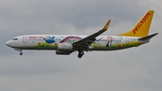 Pegasus Airlines Boeing 737-82R (TC-CPN) at  Dusseldorf - International, Germany