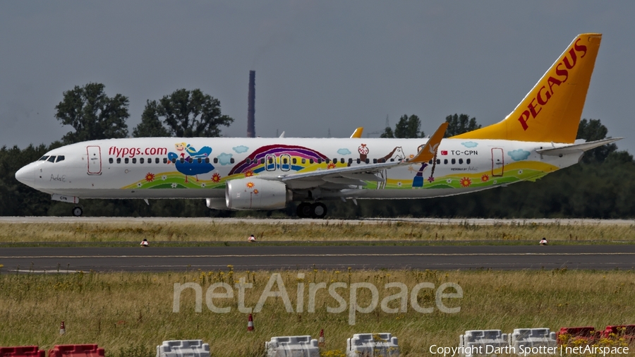 Pegasus Airlines Boeing 737-82R (TC-CPN) | Photo 230734