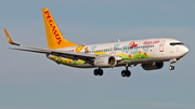 Pegasus Airlines Boeing 737-82R (TC-CPN) at  Dusseldorf - International, Germany