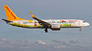 Pegasus Airlines Boeing 737-82R (TC-CPN) at  Dusseldorf - International, Germany