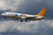 Pegasus Airlines Boeing 737-82R (TC-CPN) at  Frankfurt am Main, Germany