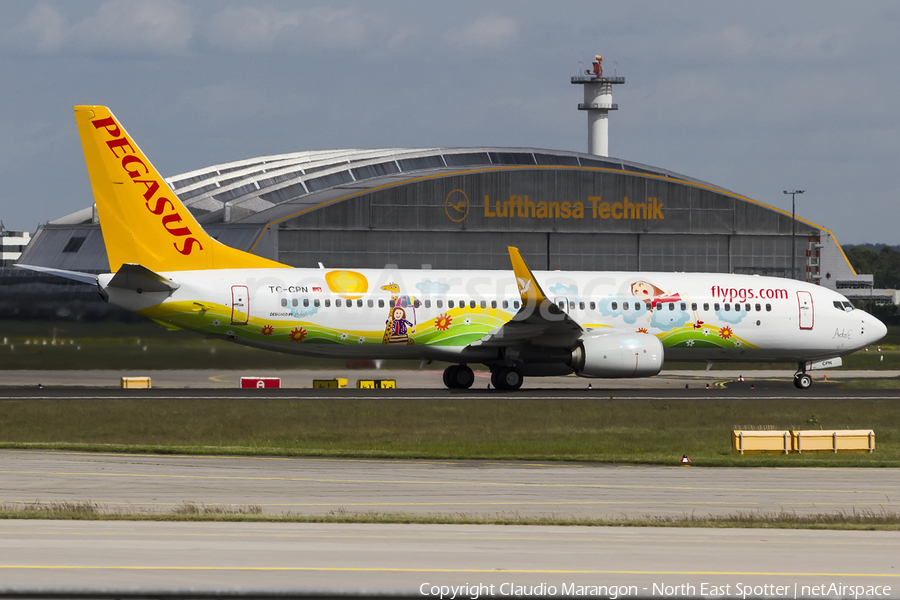 Pegasus Airlines Boeing 737-82R (TC-CPN) | Photo 97245