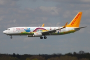 Pegasus Airlines Boeing 737-82R (TC-CPN) at  Hamburg - Fuhlsbuettel (Helmut Schmidt), Germany