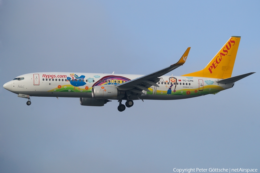 Pegasus Airlines Boeing 737-82R (TC-CPN) | Photo 96264