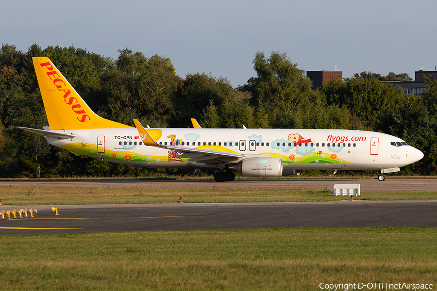 Pegasus Airlines Boeing 737-82R (TC-CPN) | Photo 262532