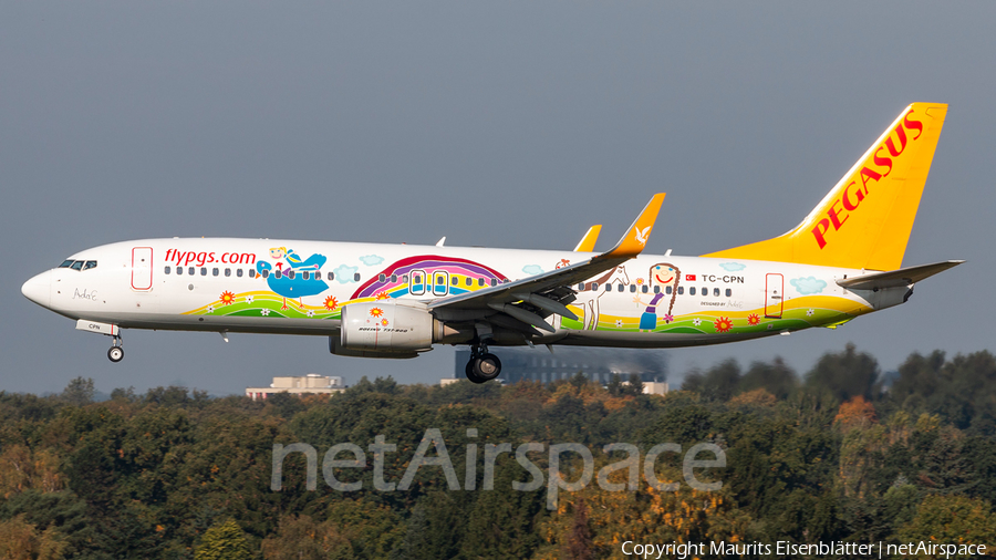 Pegasus Airlines Boeing 737-82R (TC-CPN) | Photo 292524