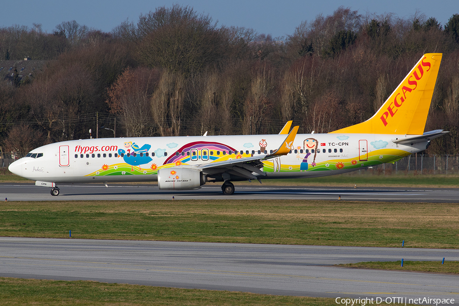 Pegasus Airlines Boeing 737-82R (TC-CPN) | Photo 373698