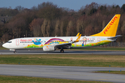 Pegasus Airlines Boeing 737-82R (TC-CPN) at  Hamburg - Fuhlsbuettel (Helmut Schmidt), Germany